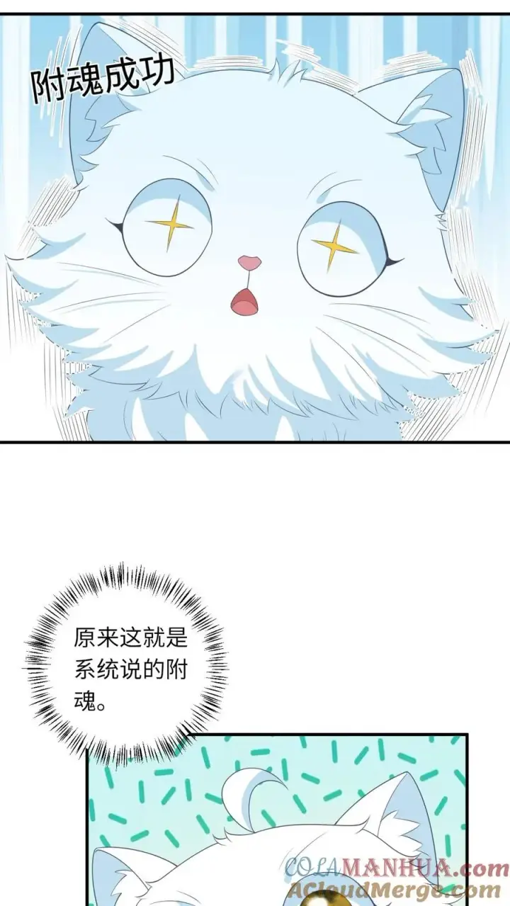 《我出钱你出命，我俩一起神经病》第101话 解了个寂寞图29