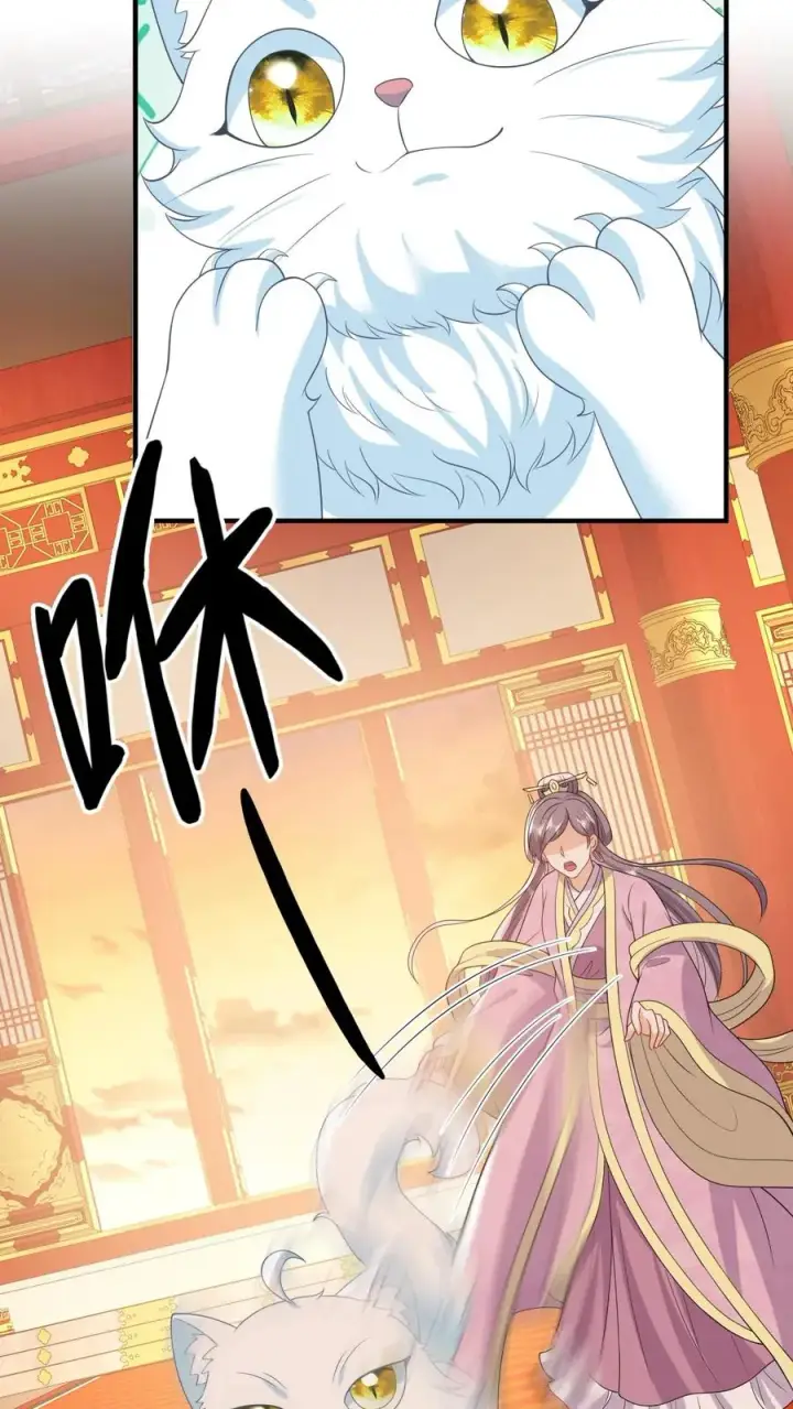 《我出钱你出命，我俩一起神经病》第101话 解了个寂寞图30