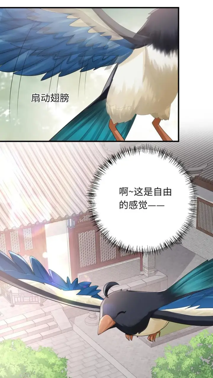 《我出钱你出命，我俩一起神经病》第106话 我会飞了！图24