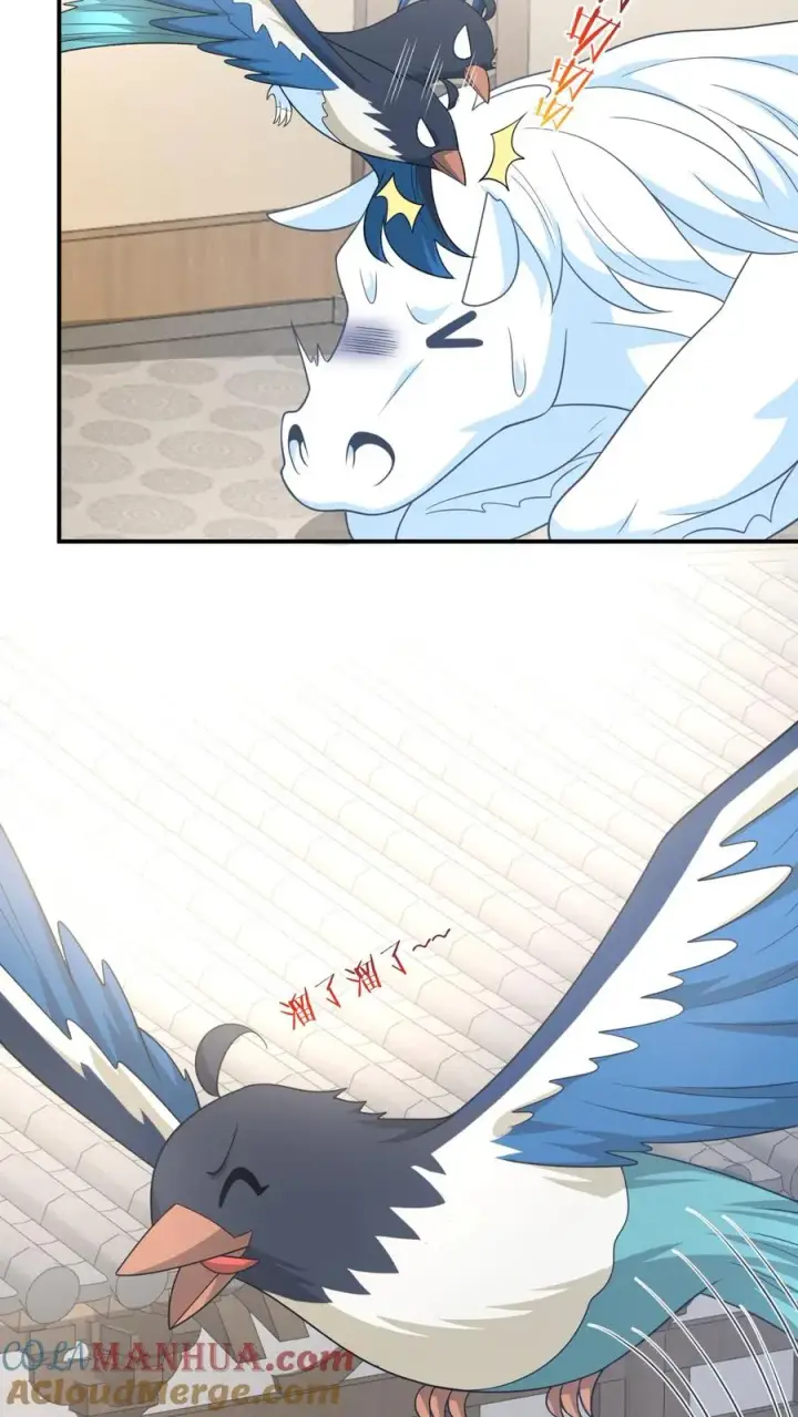 《我出钱你出命，我俩一起神经病》第108话 躺枪的喜鹊图11
