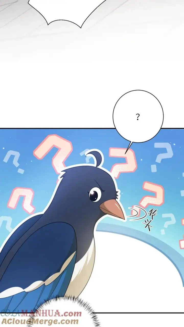 《我出钱你出命，我俩一起神经病》第108话 躺枪的喜鹊图15