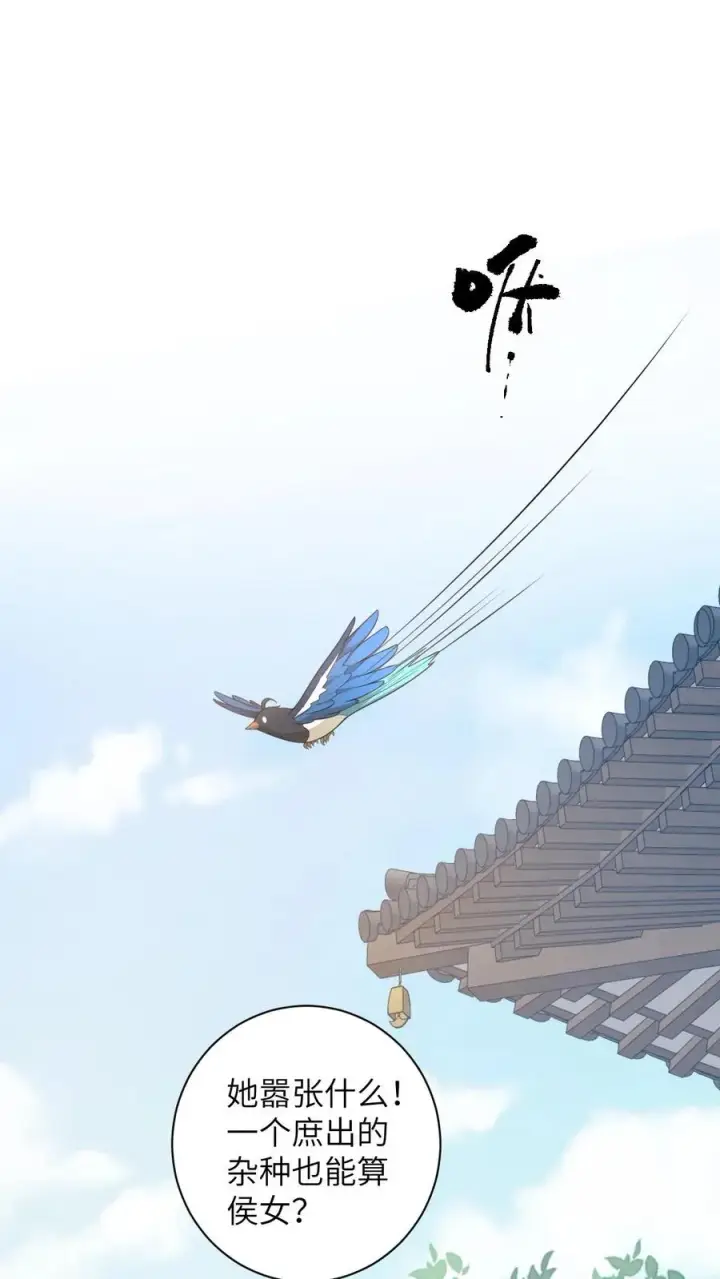 《我出钱你出命，我俩一起神经病》第108话 躺枪的喜鹊图2