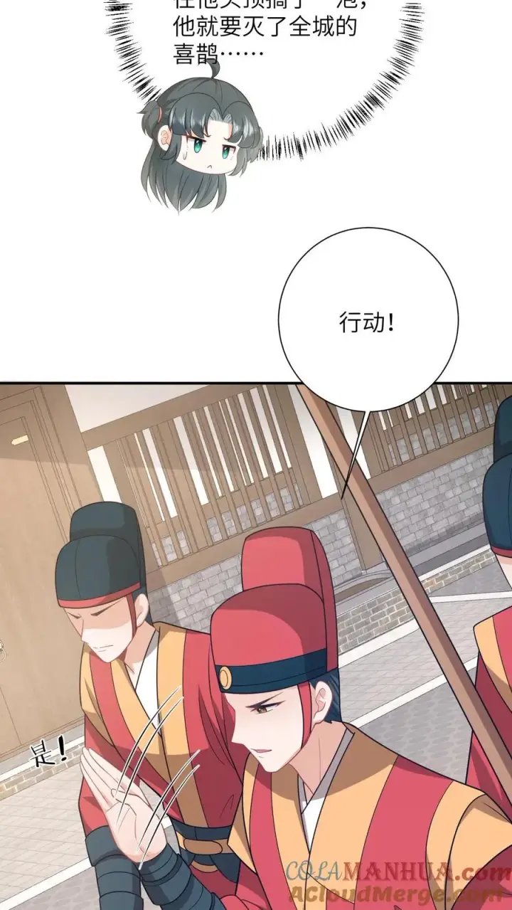 《我出钱你出命，我俩一起神经病》第108话 躺枪的喜鹊图25