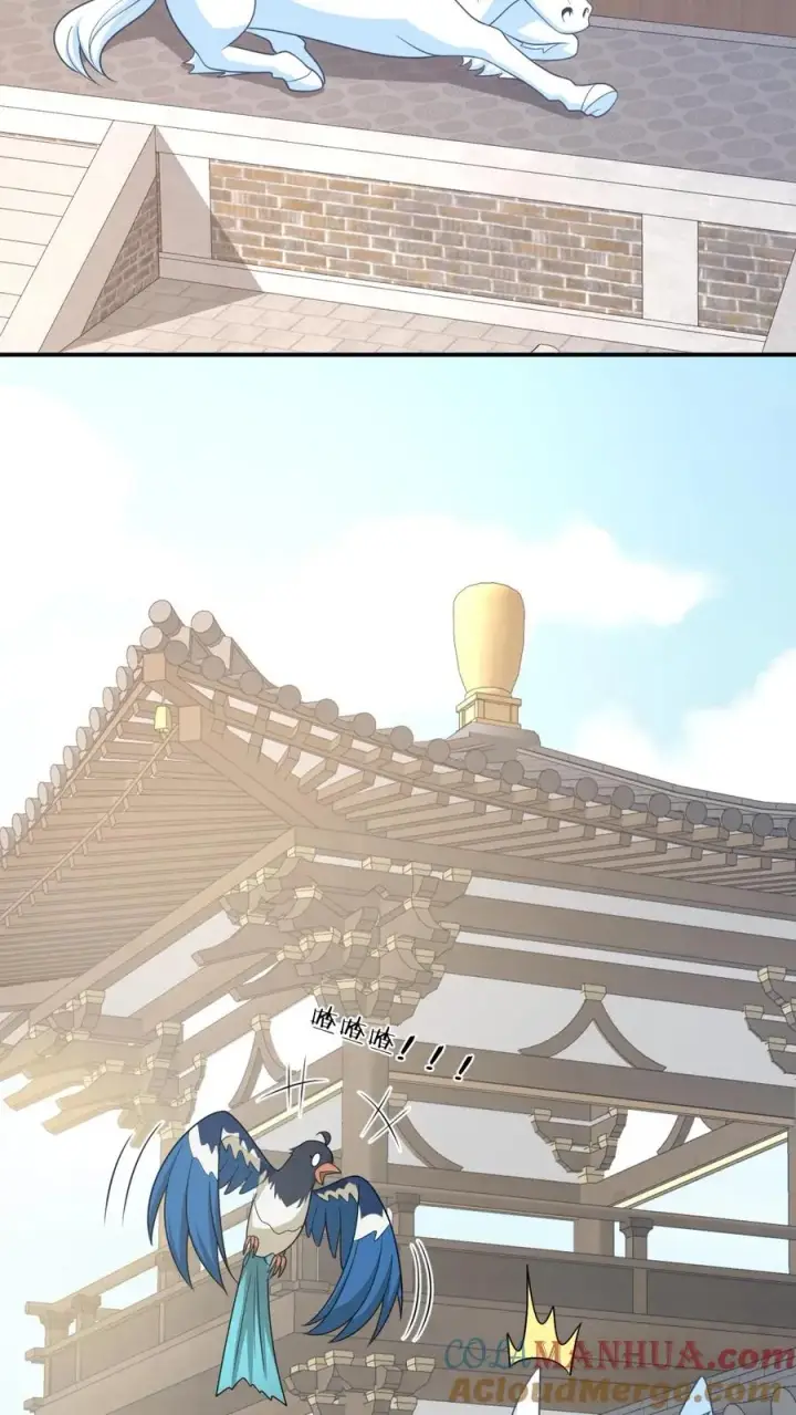 《我出钱你出命，我俩一起神经病》第108话 躺枪的喜鹊图9