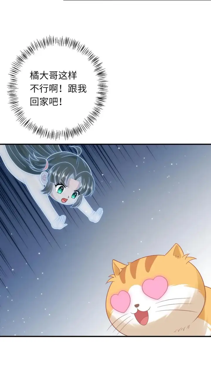 《我出钱你出命，我俩一起神经病》第113话 脱离掌控的大橘图12