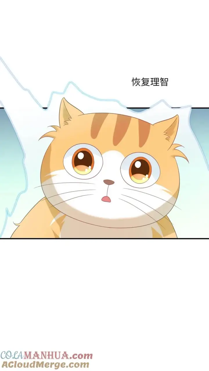 《我出钱你出命，我俩一起神经病》第113话 脱离掌控的大橘图13