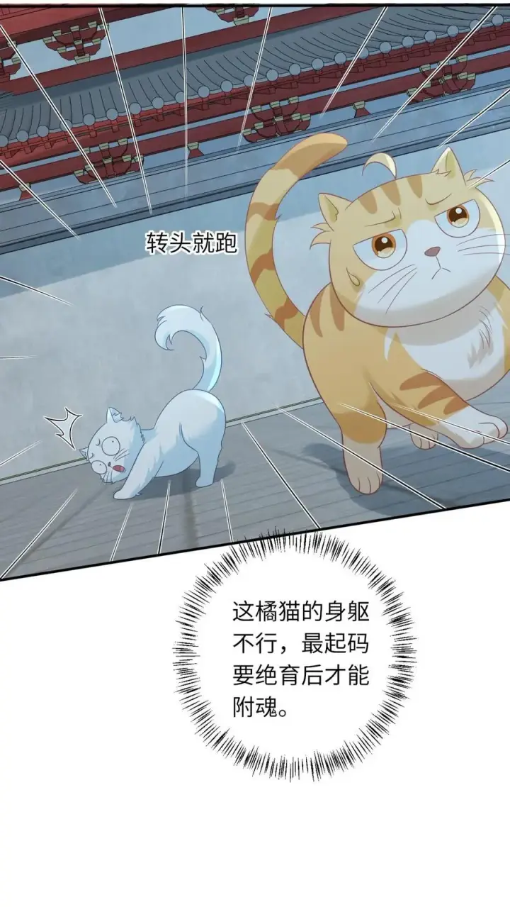 《我出钱你出命，我俩一起神经病》第113话 脱离掌控的大橘图14