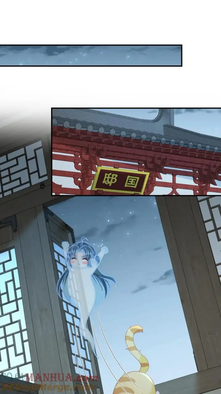 《我出钱你出命，我俩一起神经病》第113话 脱离掌控的大橘图15