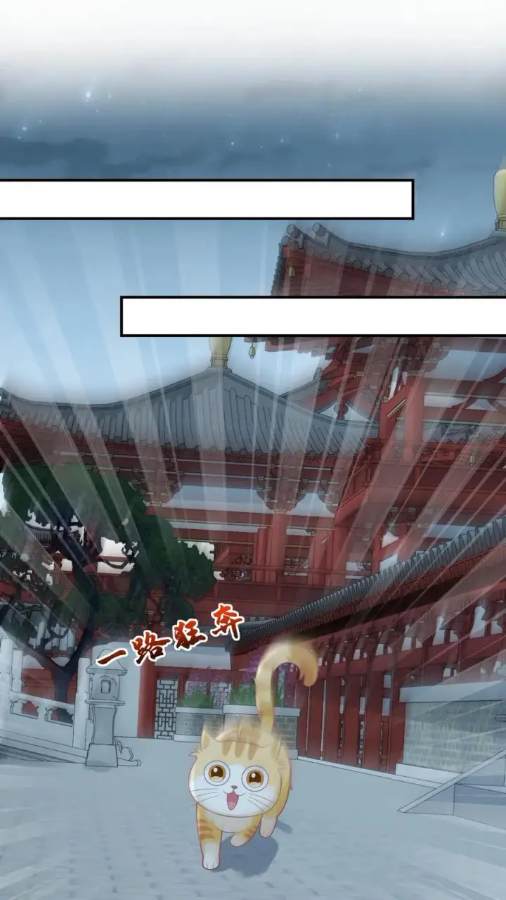 《我出钱你出命，我俩一起神经病》第113话 脱离掌控的大橘图2