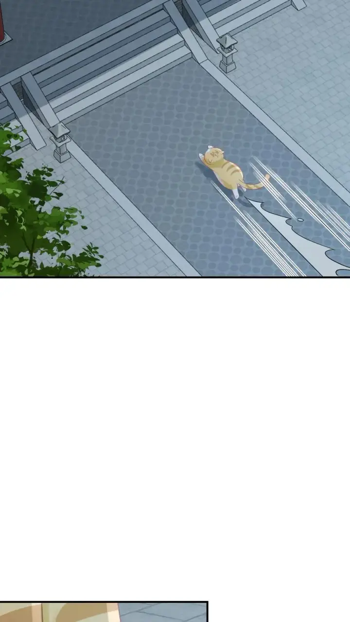 《我出钱你出命，我俩一起神经病》第113话 脱离掌控的大橘图4