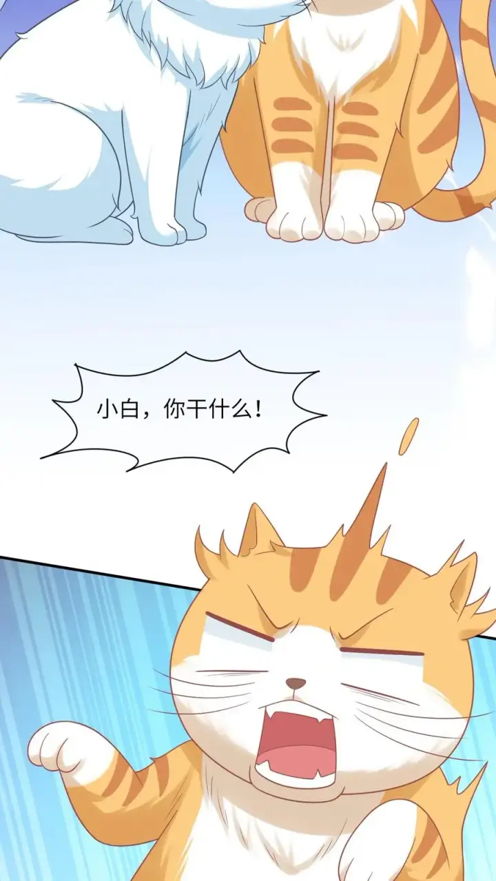 《我出钱你出命，我俩一起神经病》第113话 脱离掌控的大橘图8