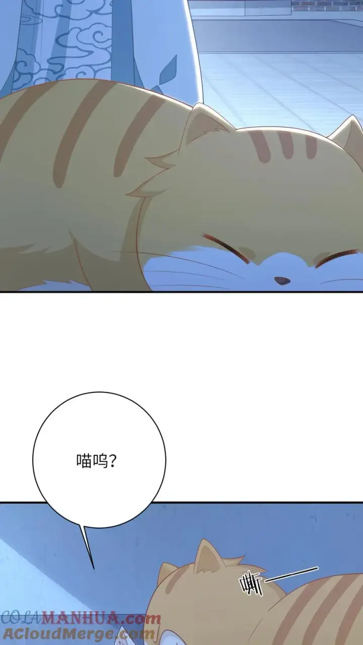 《我出钱你出命，我俩一起神经病》第114话 臭晕夜辞！图15