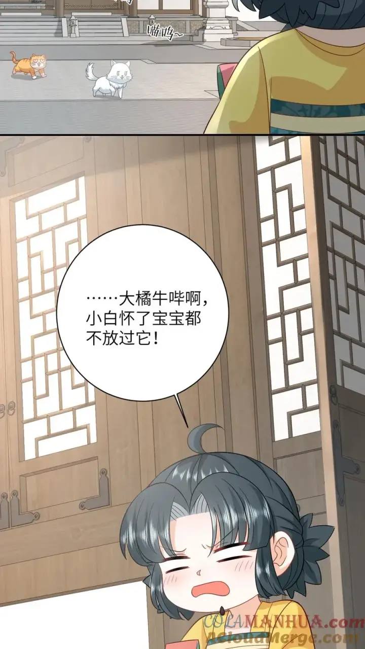 《我出钱你出命，我俩一起神经病》第116话 新武器get图31