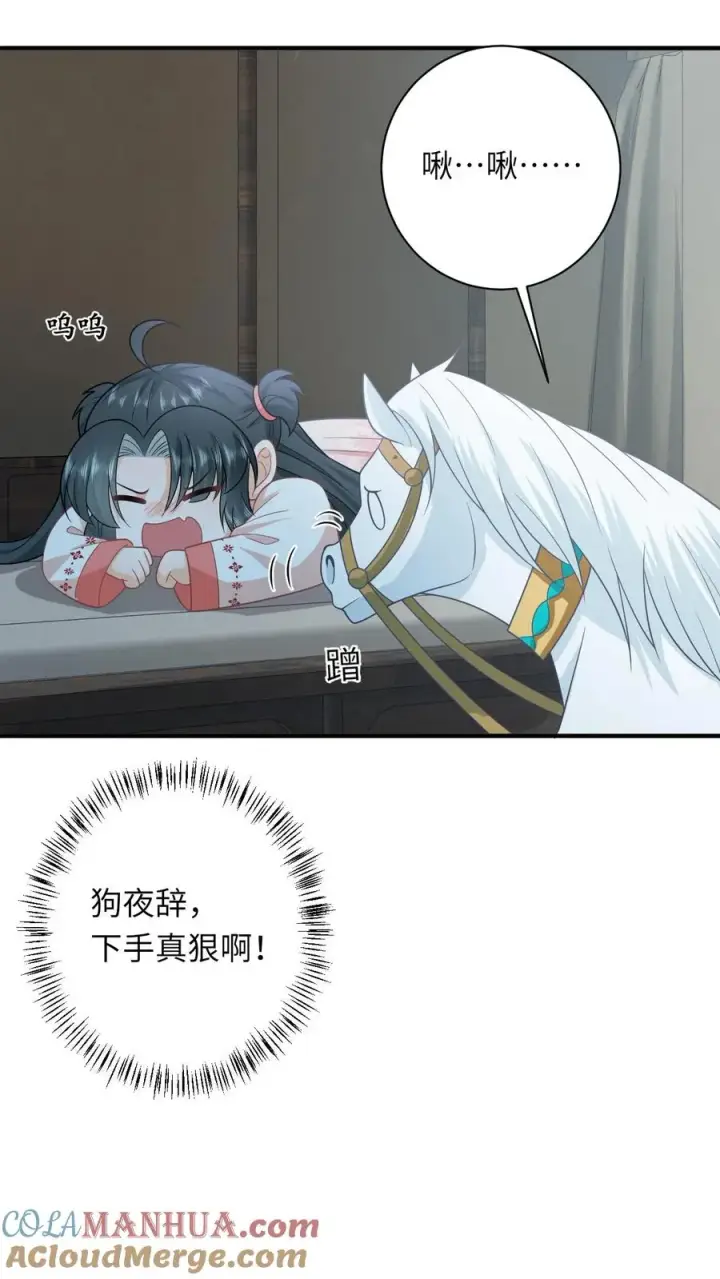 《我出钱你出命，我俩一起神经病》第150话 夜辞打人啦！图23