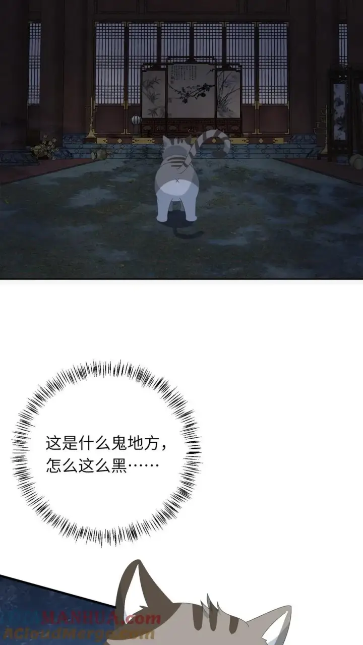 《我出钱你出命，我俩一起神经病》第153话 骷髅王座图11