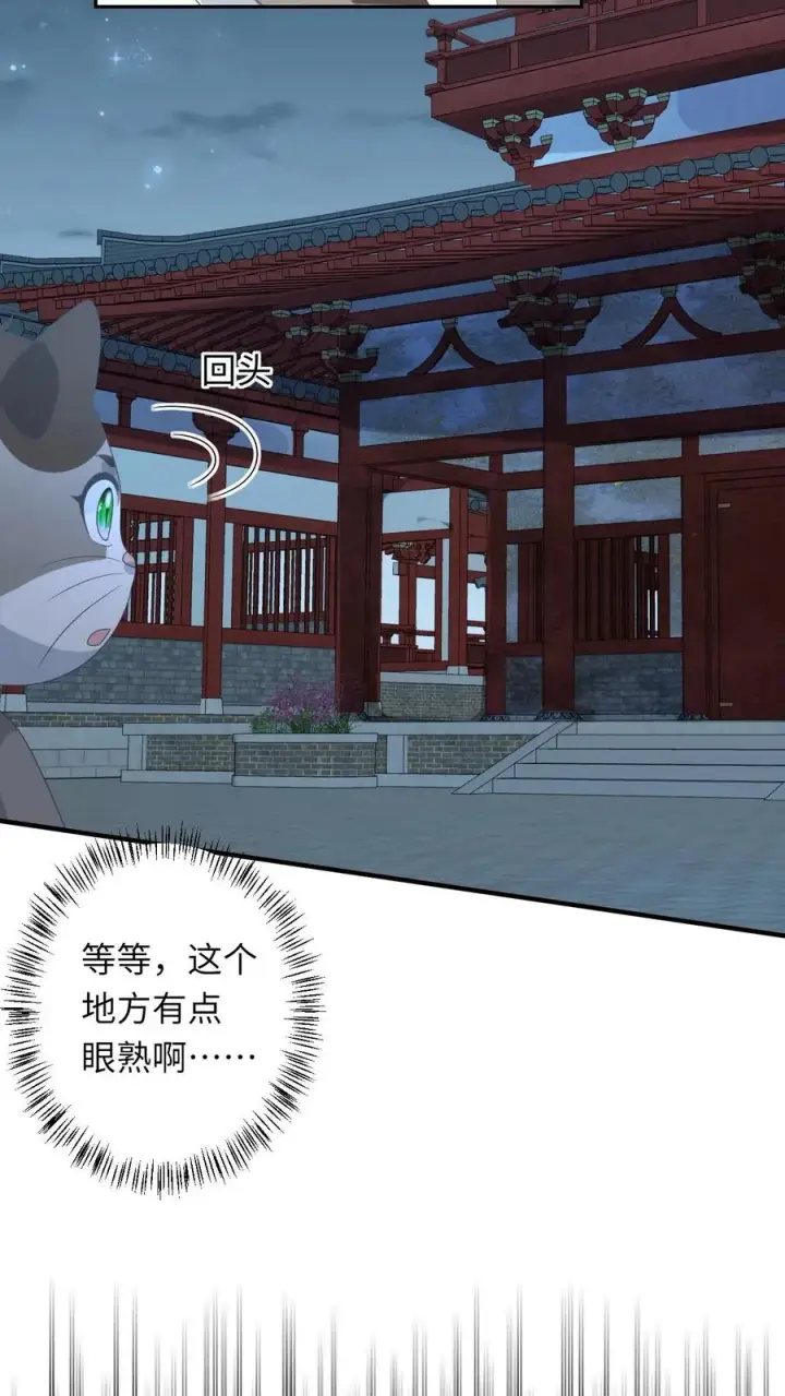 《我出钱你出命，我俩一起神经病》第153话 骷髅王座图4