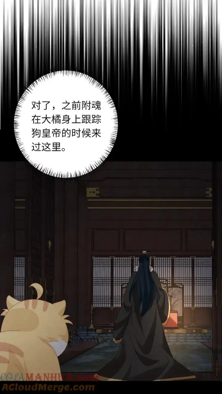 《我出钱你出命，我俩一起神经病》第153话 骷髅王座图5
