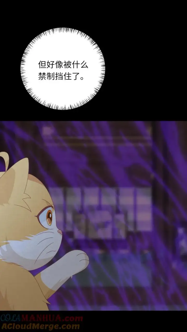 《我出钱你出命，我俩一起神经病》第153话 骷髅王座图7