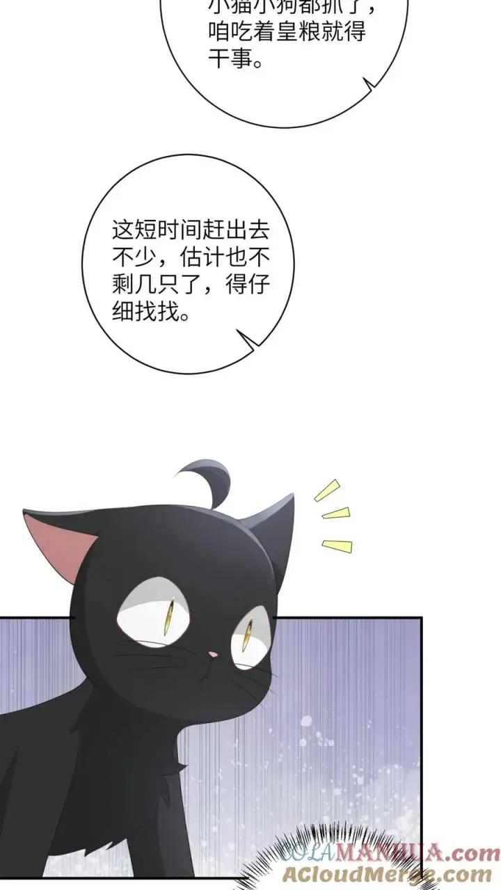 《我出钱你出命，我俩一起神经病》第158话 册封圣公主图23