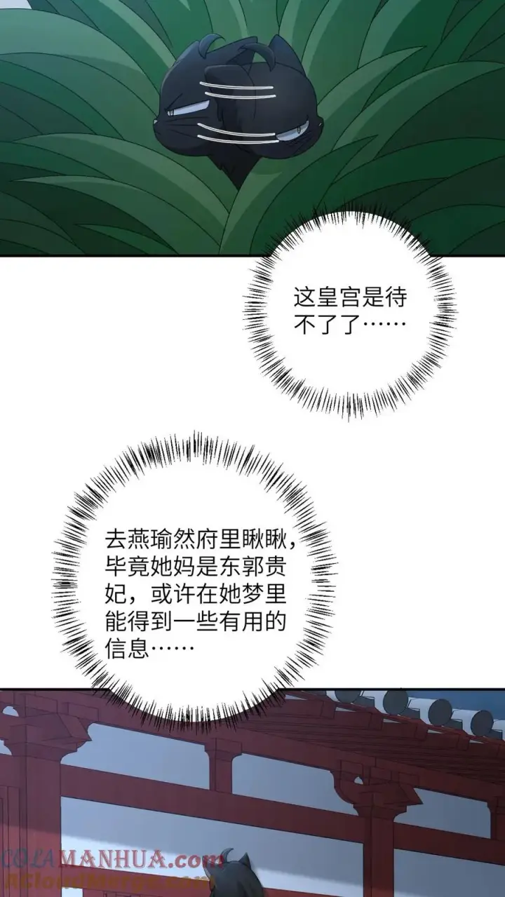 《我出钱你出命，我俩一起神经病》第158话 册封圣公主图29
