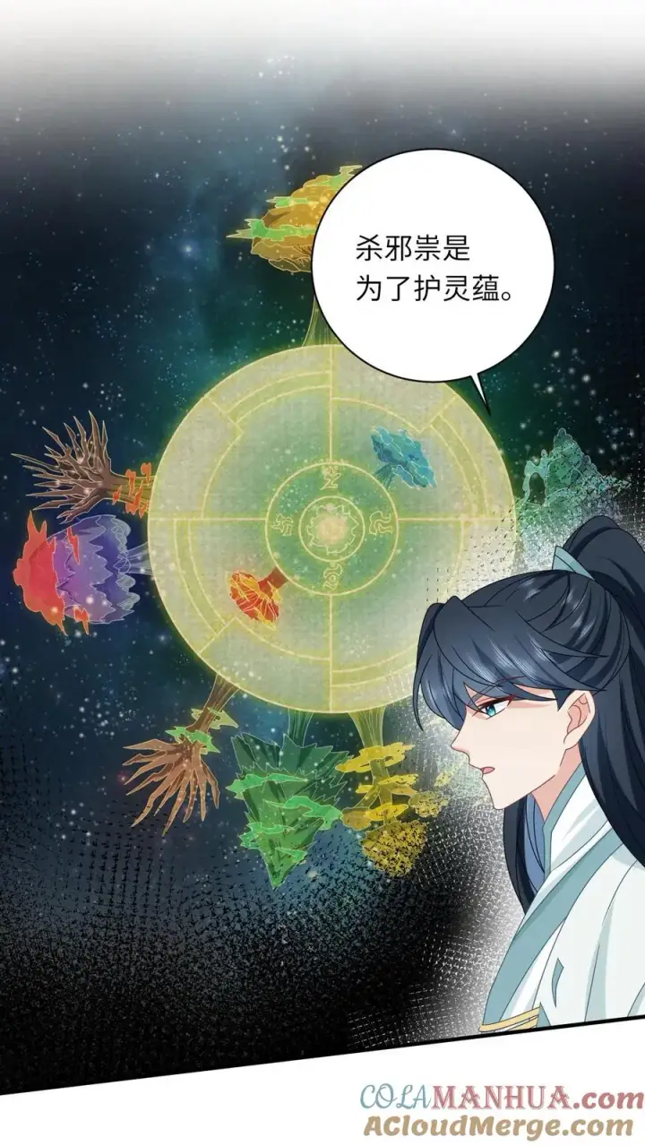 《我出钱你出命，我俩一起神经病》第168话 不夜军的真相图13