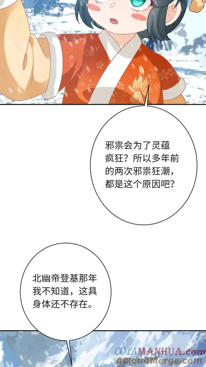 《我出钱你出命，我俩一起神经病》第170话 北幽帝不能杀图29