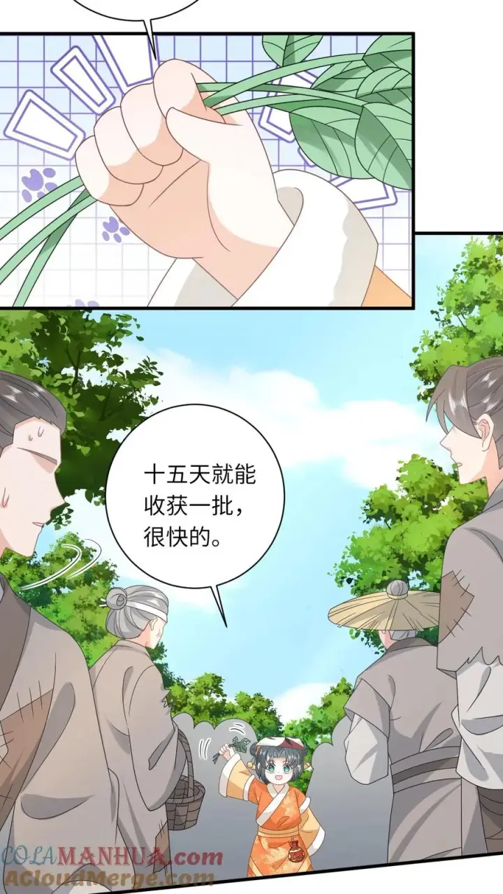 《我出钱你出命，我俩一起神经病》第179话 幼幼被赐婚图15