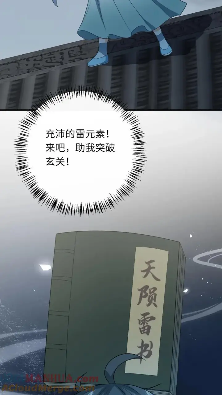 《我出钱你出命，我俩一起神经病》第217话 雷罚开启图27