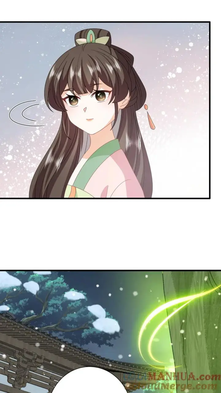 《我出钱你出命，我俩一起神经病》第254话 若木成图11