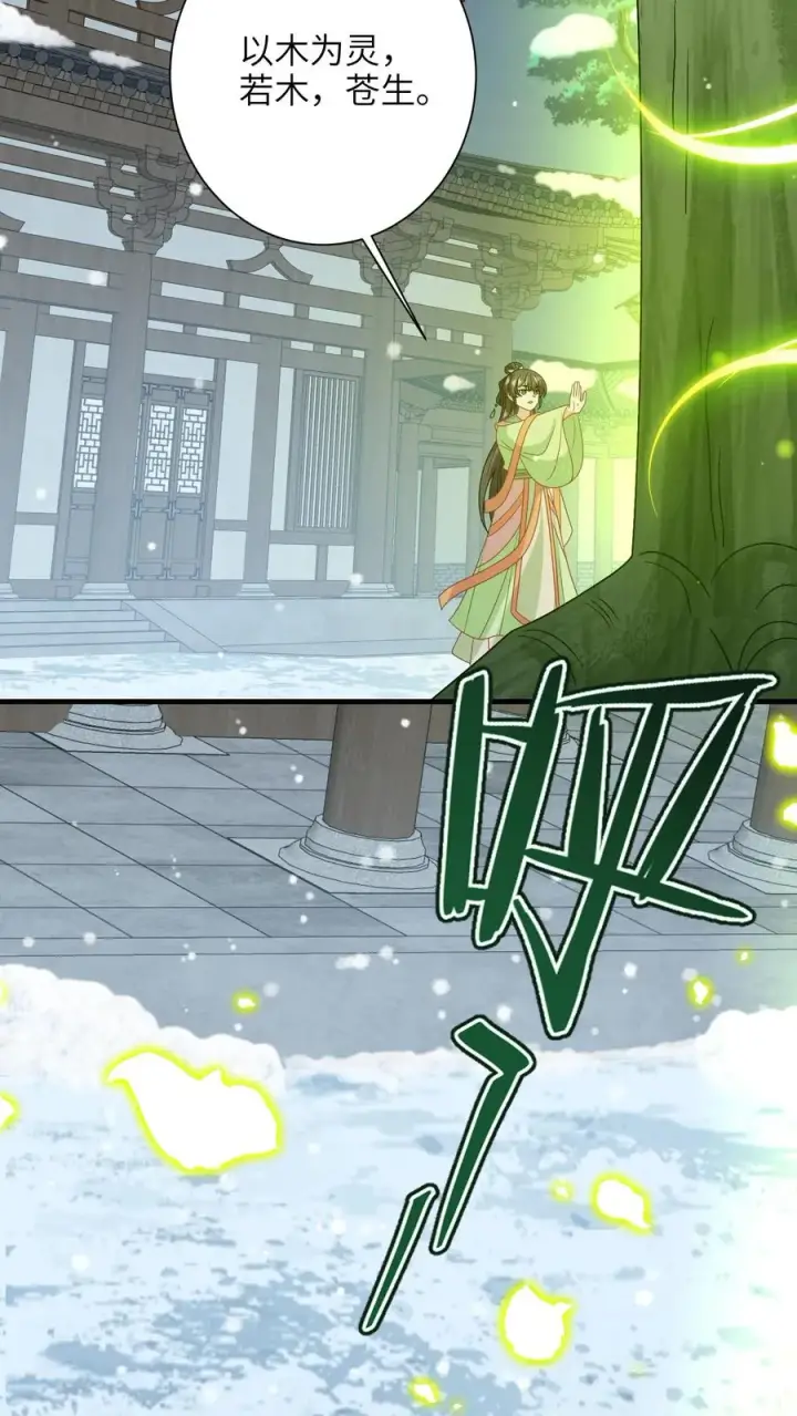 《我出钱你出命，我俩一起神经病》第254话 若木成图12