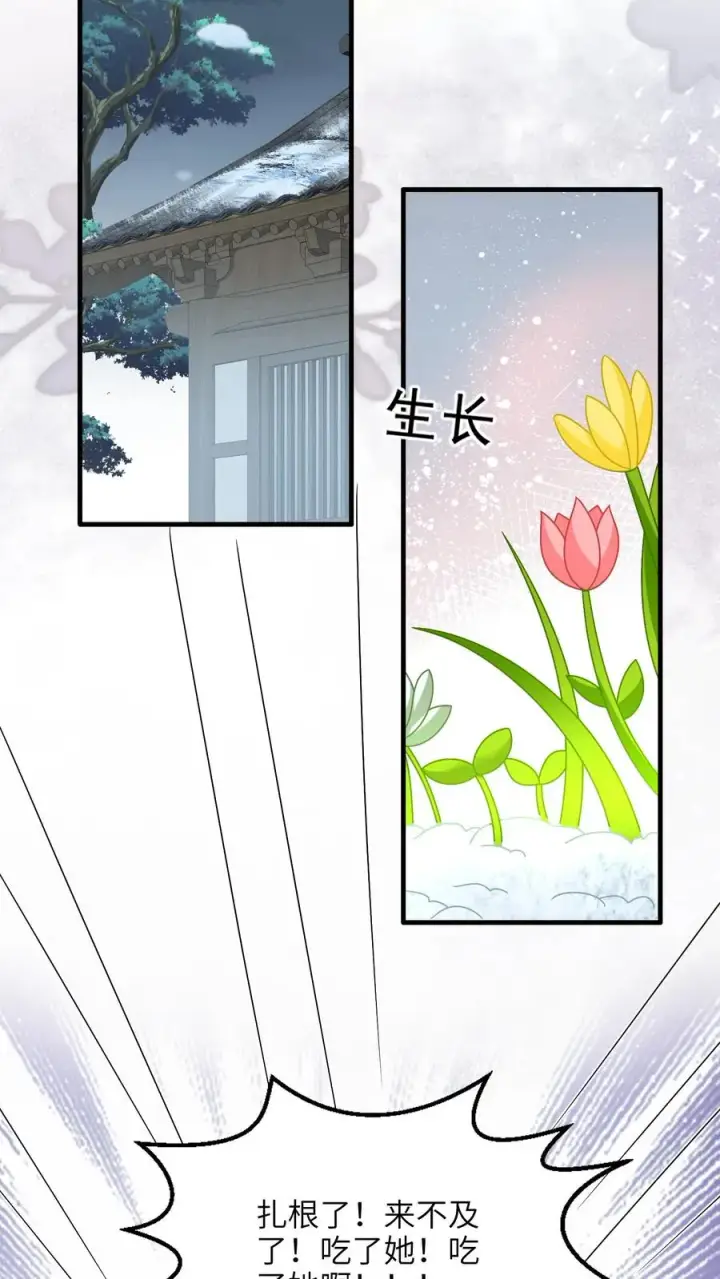 《我出钱你出命，我俩一起神经病》第254话 若木成图16