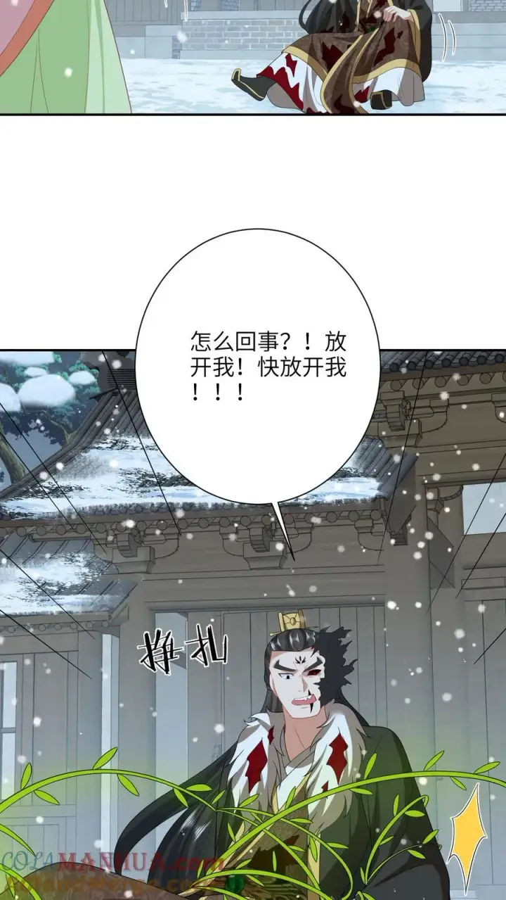《我出钱你出命，我俩一起神经病》第254话 若木成图5