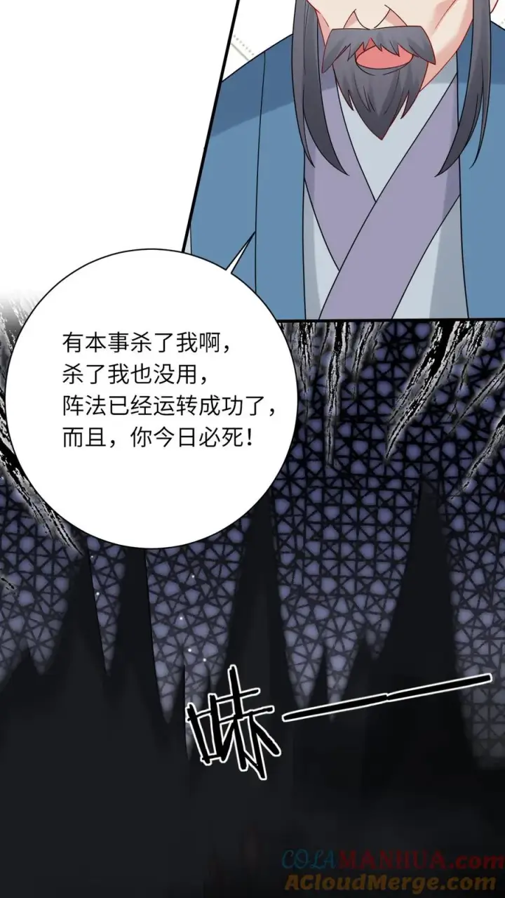 《我出钱你出命，我俩一起神经病》第257话 严星渊的身世图31