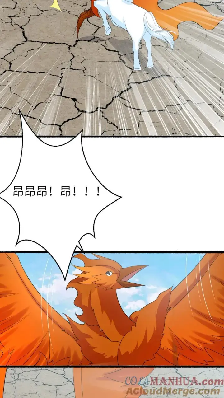 《我出钱你出命，我俩一起神经病》第262话 北幽的英雄图17