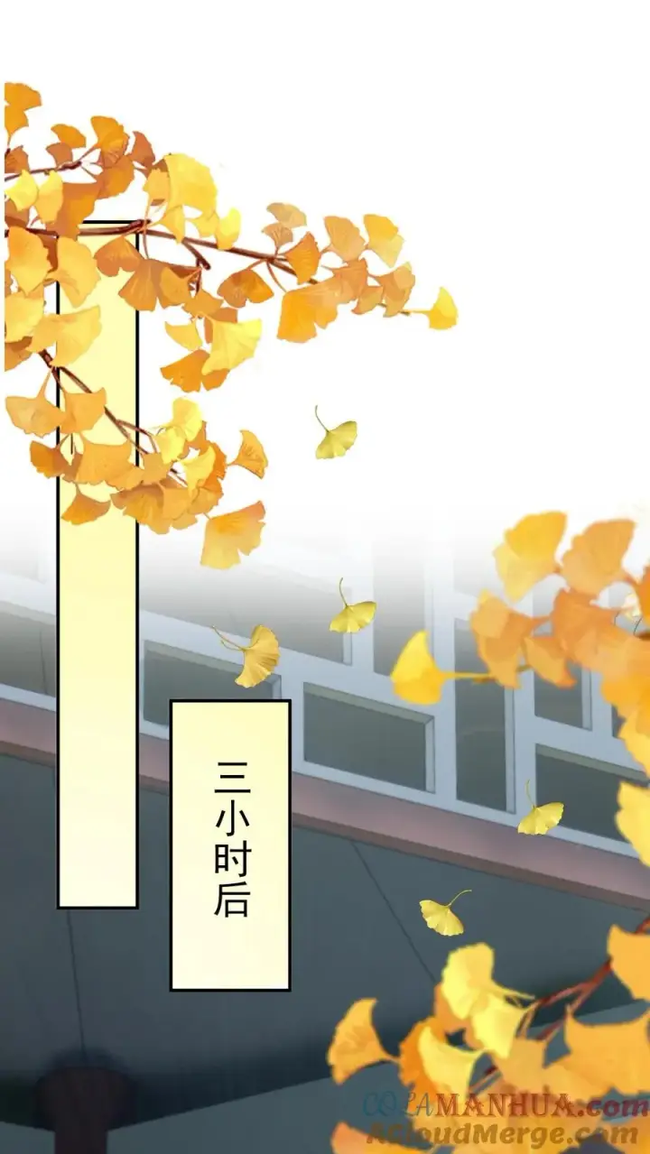 《我出钱你出命，我俩一起神经病》第265话 你见过我女儿？图13