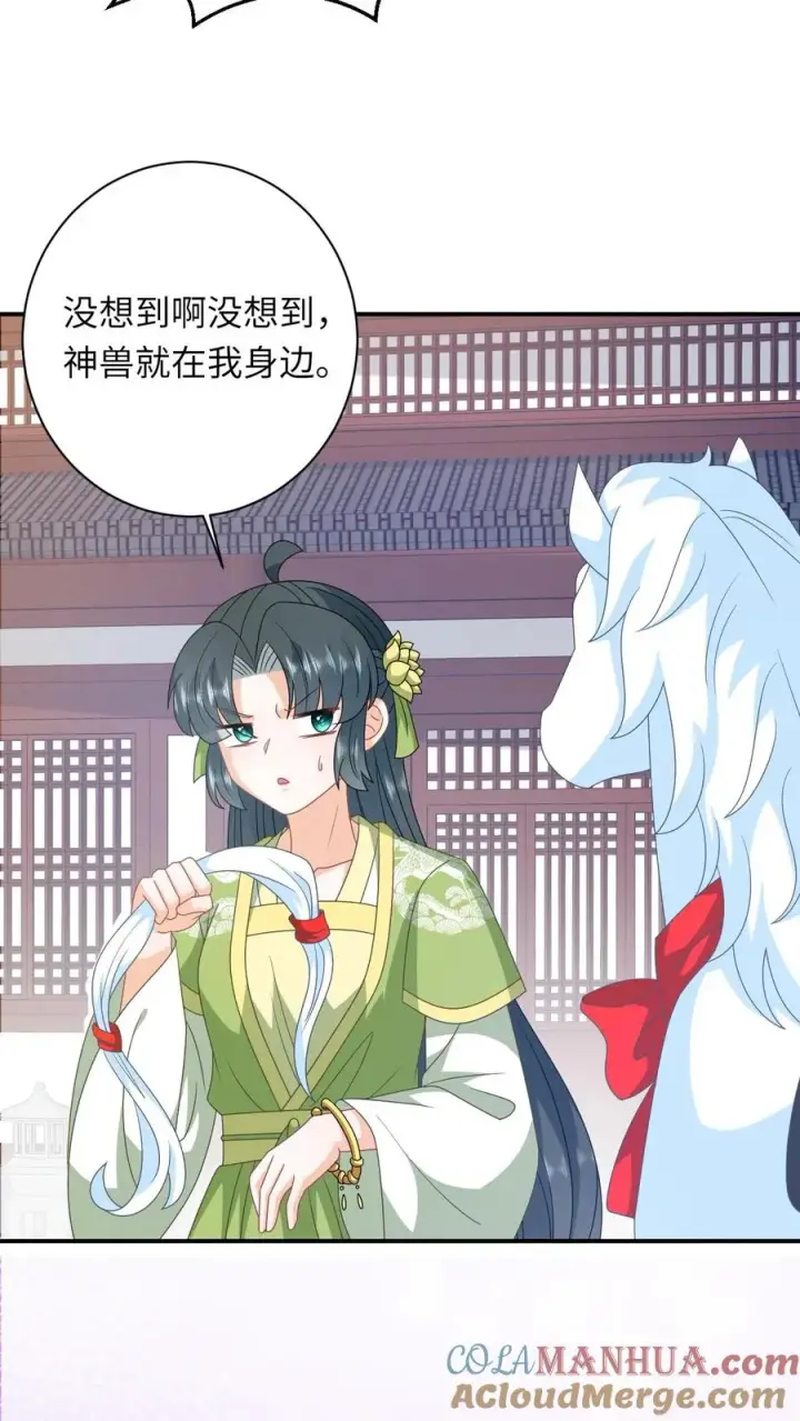 《我出钱你出命，我俩一起神经病》第268话 白泽胎毛图17