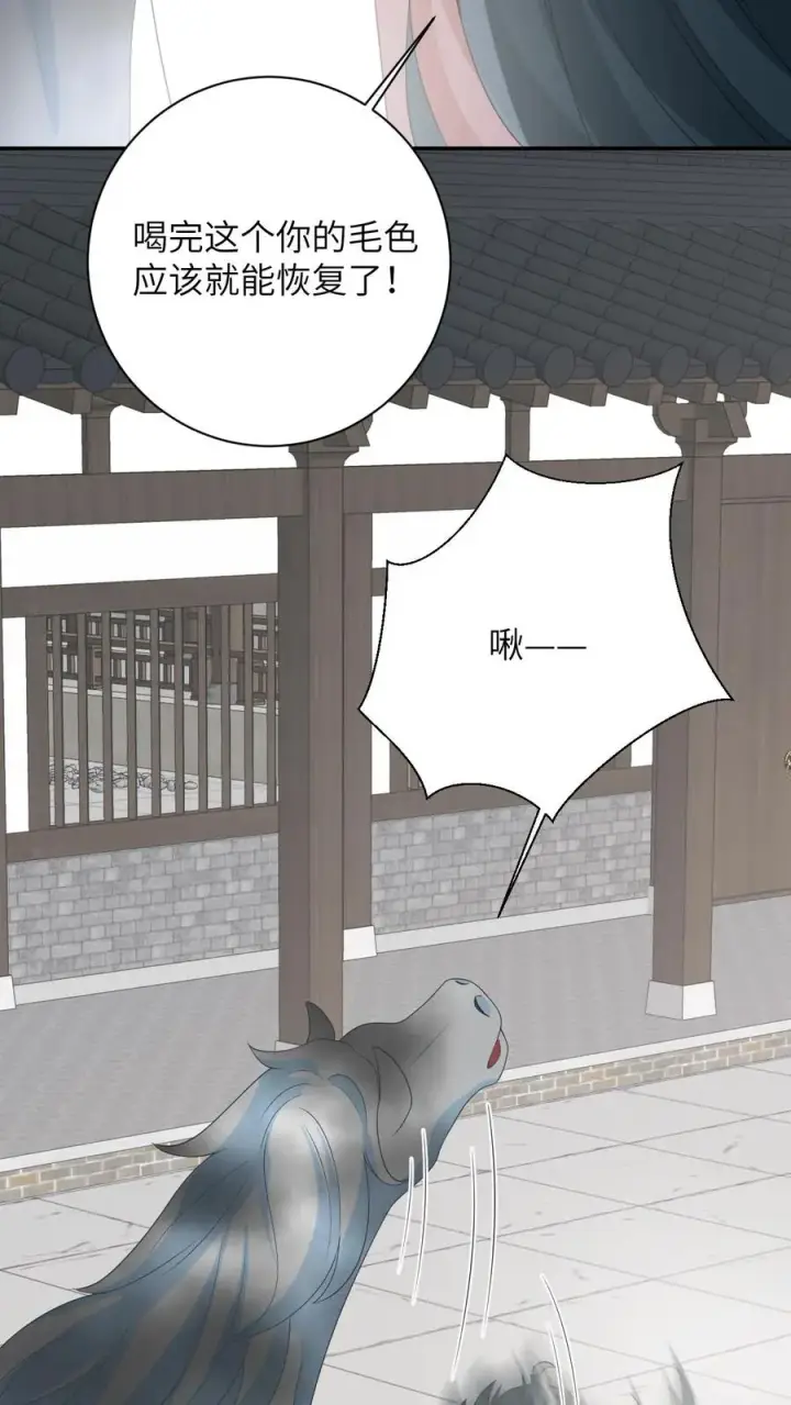 《我出钱你出命，我俩一起神经病》第85话 北幽帝的阴谋图10