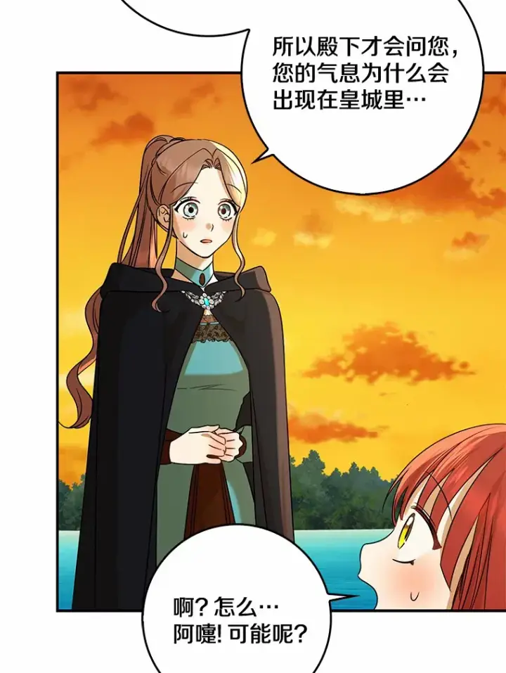 《我的暴君变成小孩儿了》40.神秘的西卡勒图103