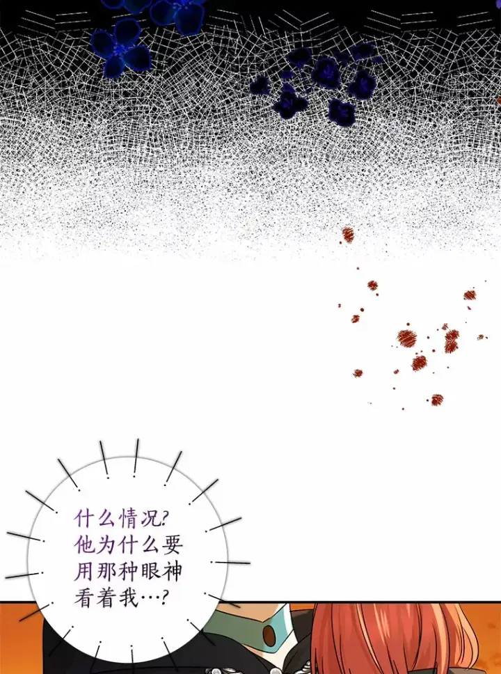 《我的暴君变成小孩儿了》40.神秘的西卡勒图139