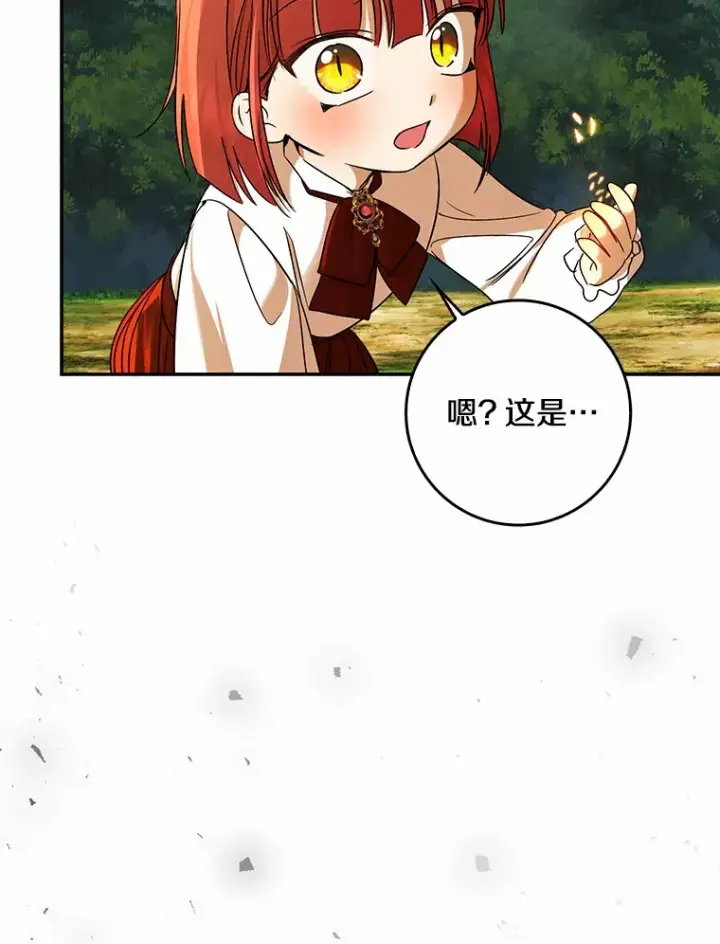 《我的暴君变成小孩儿了》40.神秘的西卡勒图90