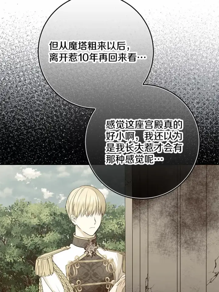 漫画《我的暴君变成小孩儿了》51.那一天（3）第87张图