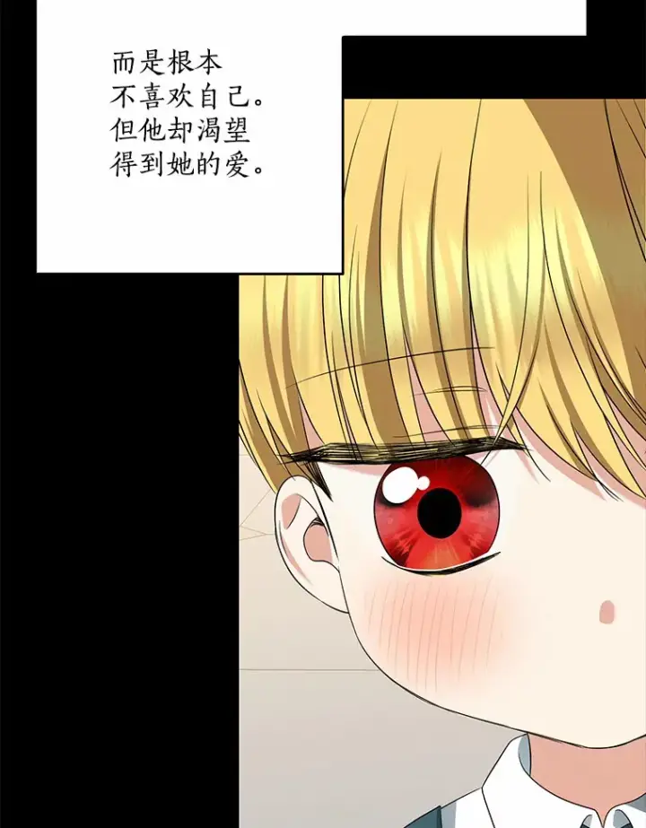 《我的暴君变成小孩儿了》58.关于母亲的回忆图31