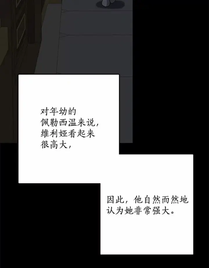 《我的暴君变成小孩儿了》58.关于母亲的回忆图35