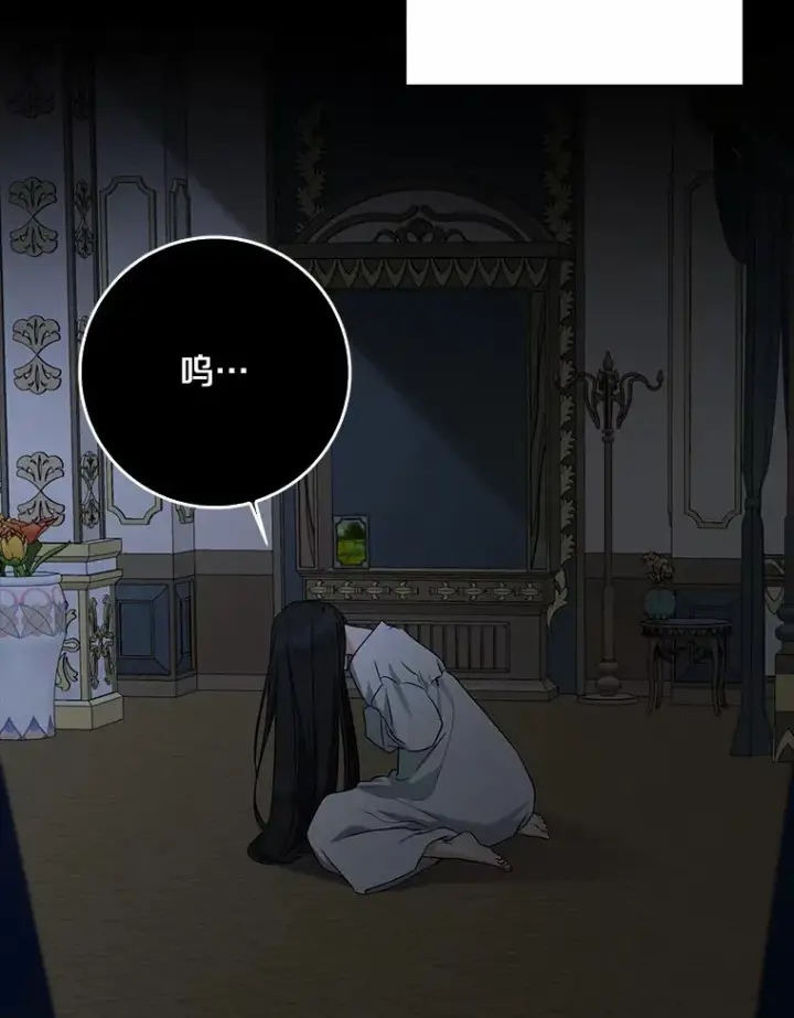 《我的暴君变成小孩儿了》58.关于母亲的回忆图38