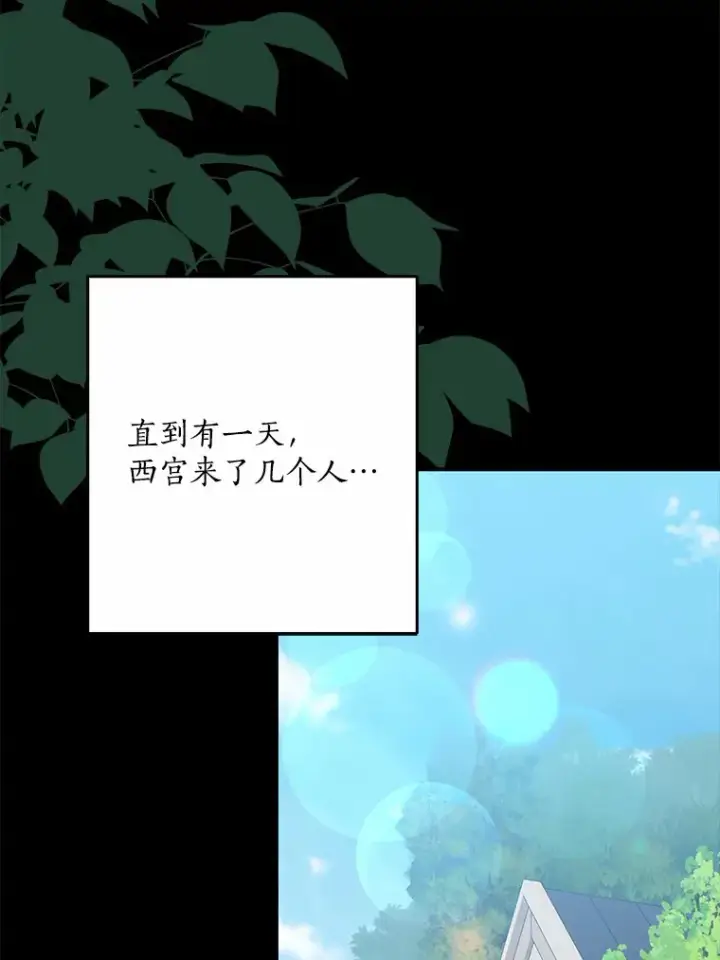 《我的暴君变成小孩儿了》58.关于母亲的回忆图72