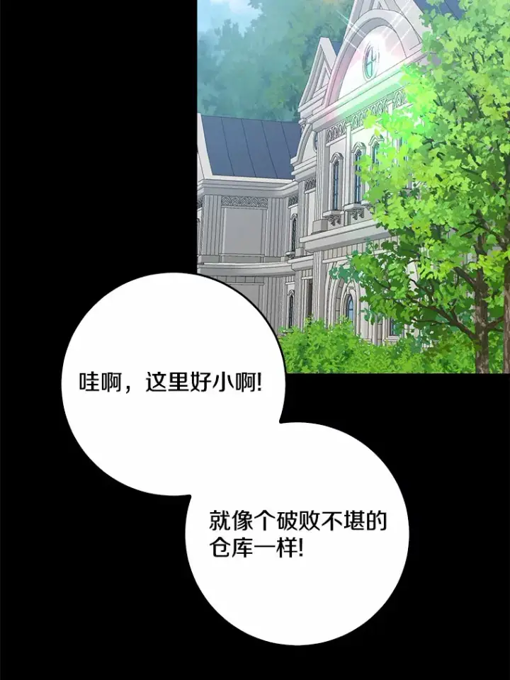 《我的暴君变成小孩儿了》58.关于母亲的回忆图73