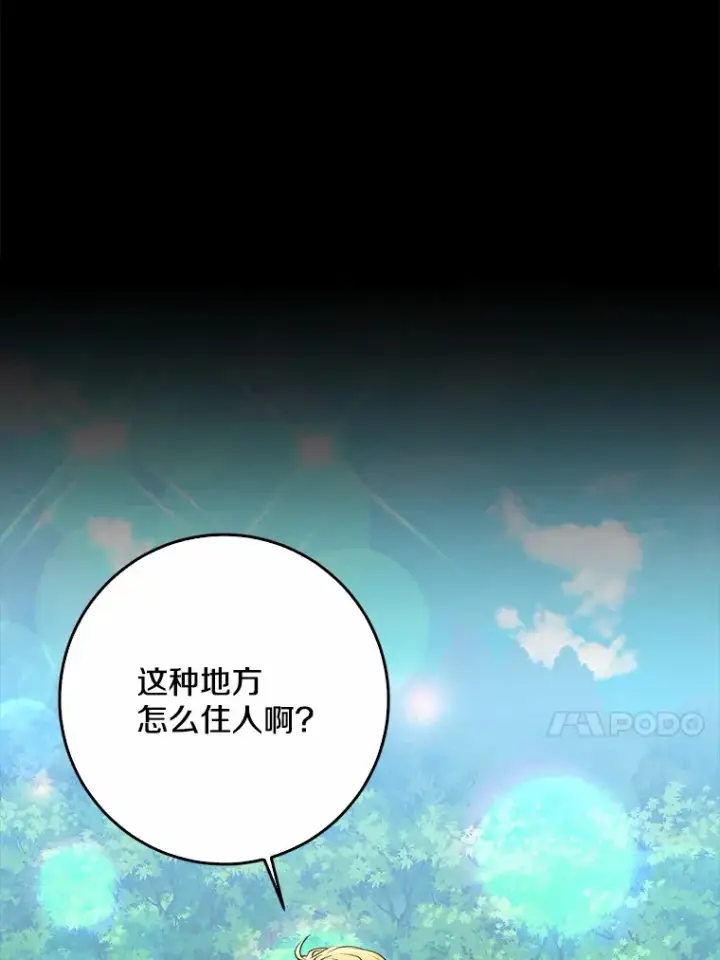 《我的暴君变成小孩儿了》58.关于母亲的回忆图74