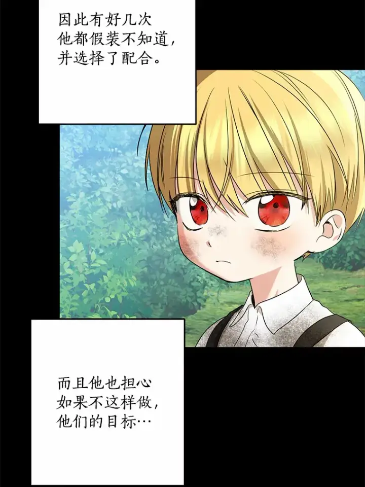 《我的暴君变成小孩儿了》58.关于母亲的回忆图96