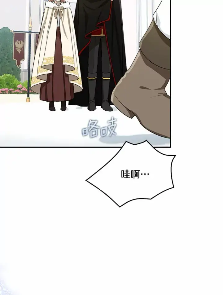《我的暴君变成小孩儿了》63.堆雪人图17