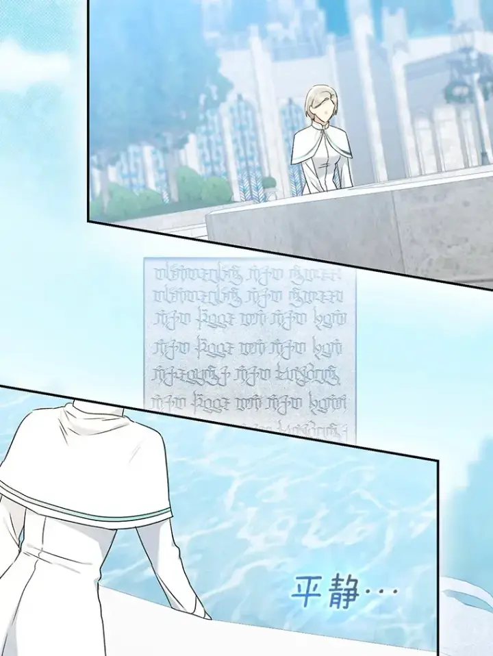 漫画《我的暴君变成小孩儿了》68.阿勒达尔诞生第66张图